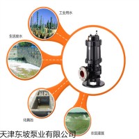 天津污水泵 潜水污水泵 污水提升泵 轴流泵